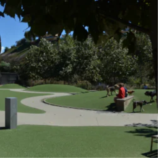 What to Understand Prior to When You Spec a Dog Park Surface in Pittsburgh