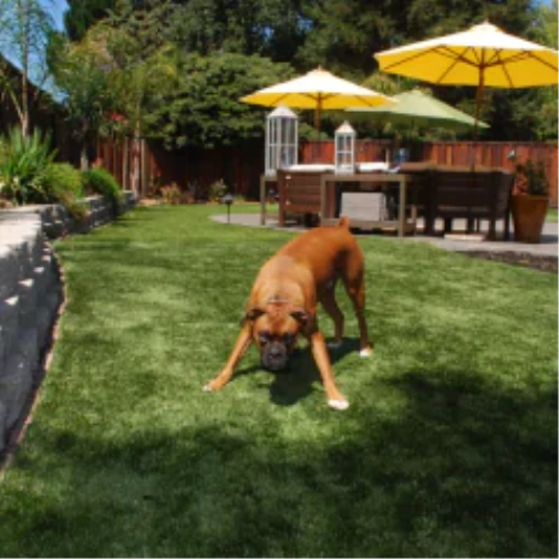 Why fake grass for dogs Completely Changes Your Pittsburgh Yard